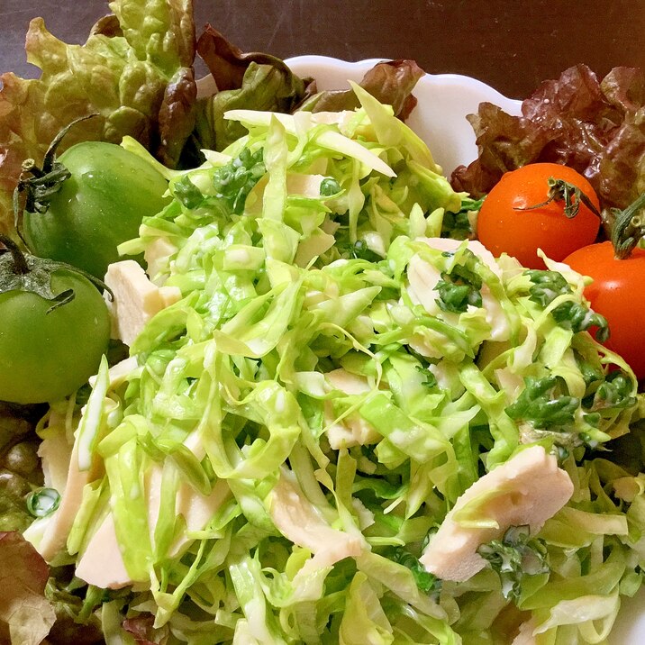 かんたん酢でキャベツのチキンサラダ レシピ 作り方 By まゆぱとら 楽天レシピ かんたん酢でキャベツのチキンサラダ レシピ 作り方 By まゆぱとら 楽天レシピ